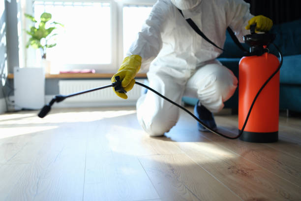 Trusted Sewage Cleanup service in Trent, SD - Four Month Blood Cleanse
